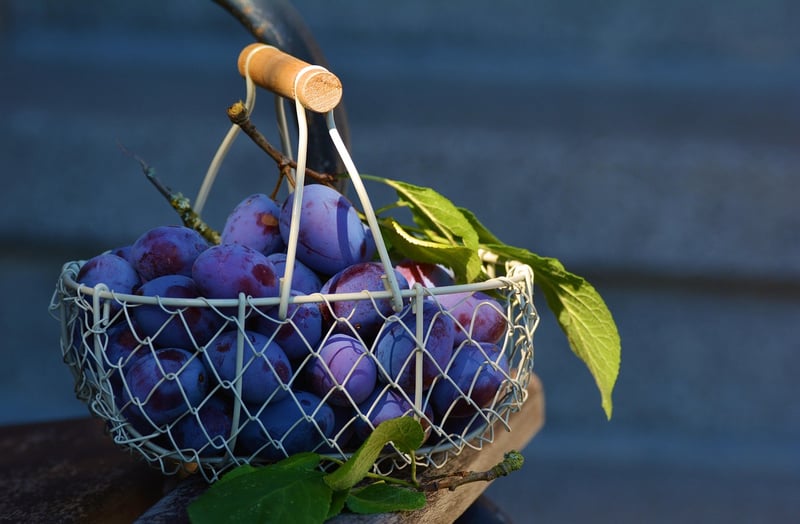 Recycled Gift Basket